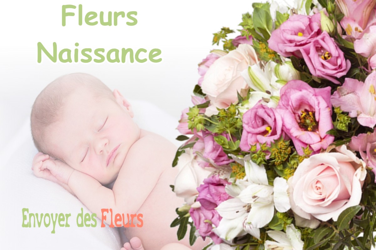 lIVRAISON FLEURS NAISSANCE à MARTISSERRE